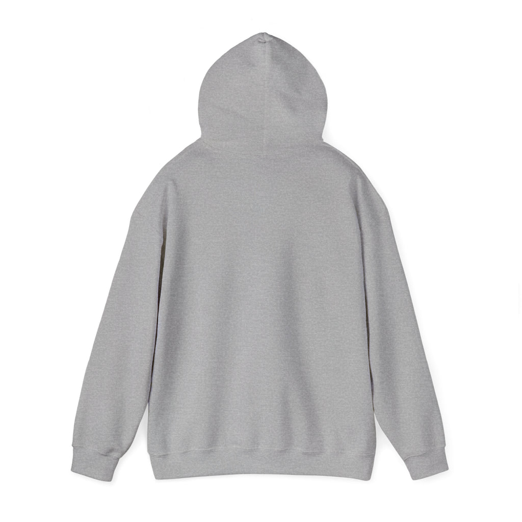 I Am Not A Robot Hoodie – Cute Retro CAPTCHA Graphic Sweatshirt
