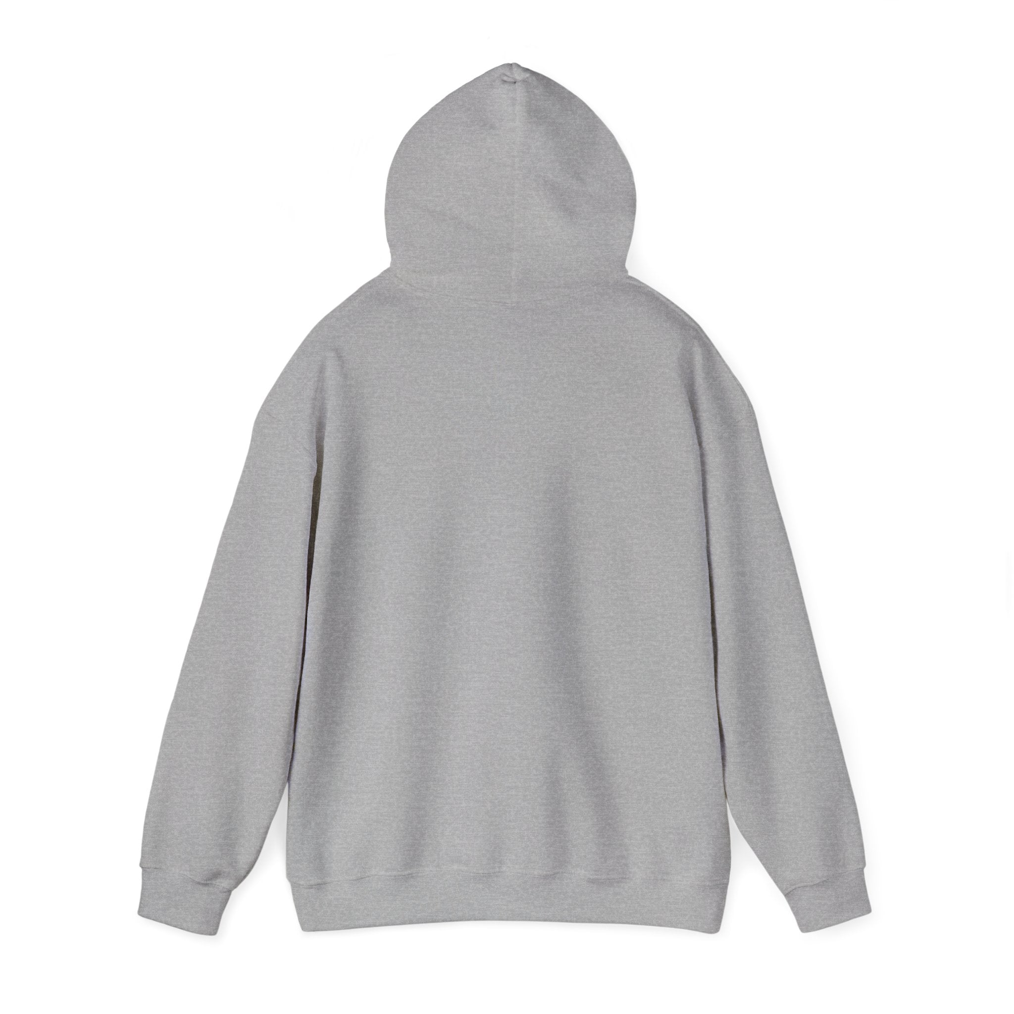 I Am Not A Robot Hoodie – Cute Retro CAPTCHA Graphic Sweatshirt